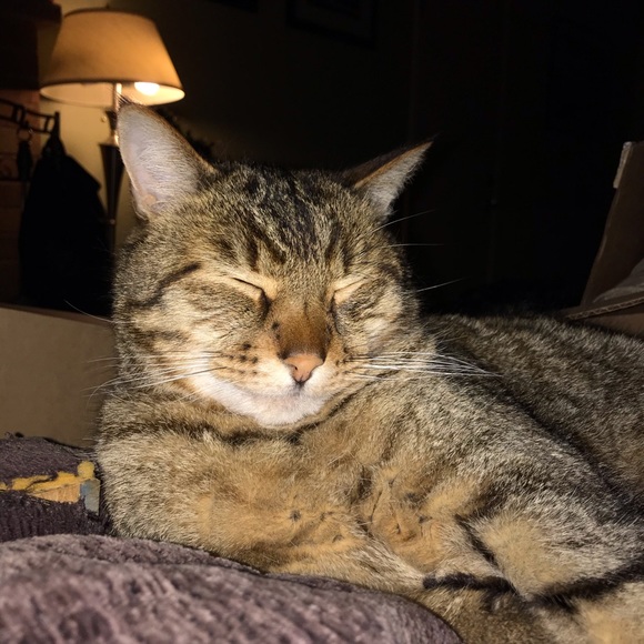 welcome! - Picture 4 of 7